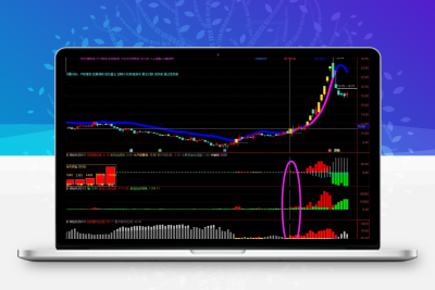 【神秘机构筹码】套装 看透机构吃大肉肉 三红指标神秘机构主副图智标公式网-提供金钻指标以及精品亲测实战指标公式，汇集各大股市名师高手教程、股市战法交流等.....智标公式网