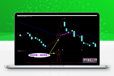 通达信【杀破狼+飞鸿】套装指标，十年磨一剑，90%高胜率选股，不加密无未来！智标公式网-提供金钻指标以及精品亲测实战指标公式，汇集各大股市名师高手教程、股市战法交流等.....智标公式网