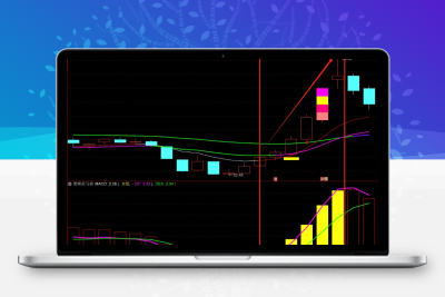 【主力黄马褂】通达信 副图指标 无未来智标公式网-提供金钻指标以及精品亲测实战指标公式，汇集各大股市名师高手教程、股市战法交流等.....智标公式网