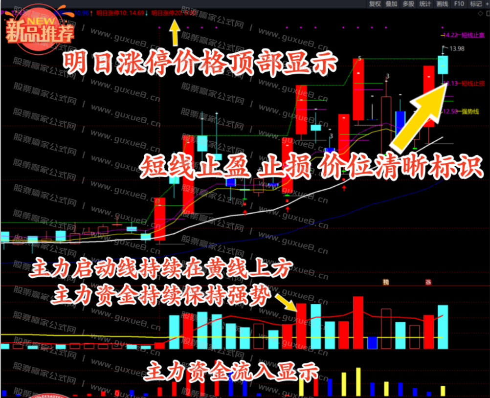 图片[4]智标公式网-提供金钻指标以及精品亲测实战指标公式，汇集各大股市名师高手教程、股市战法交流等.....【涨停回马枪定制版】最新定制版2025年 涨停回马枪N字战法指标公式 强势股龙回头短线低吸全套指标 主副图+选股 全套珍藏定制版