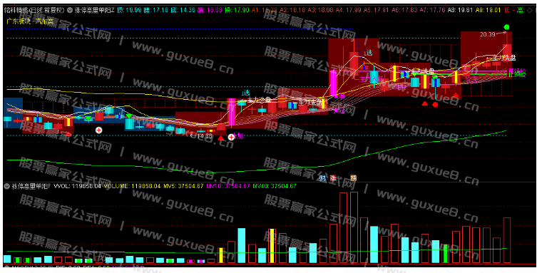 图片[6]智标公式网-提供金钻指标以及精品亲测实战指标公式，汇集各大股市名师高手教程、股市战法交流等.....【涨停高量单阳破位战法】回避近期主力凶残洗盘手法 近期火爆抖音的指标 通达信主副图