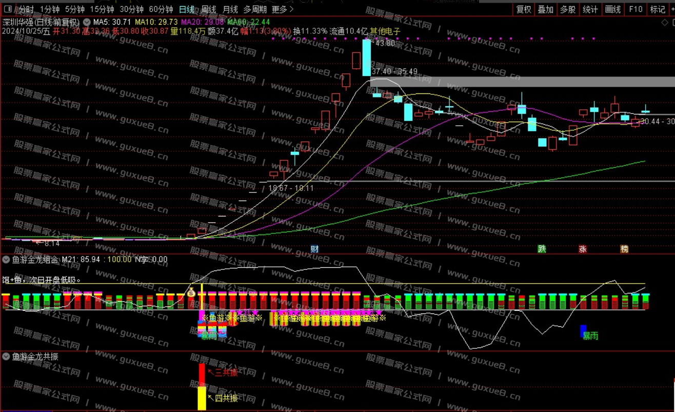 图片[6]智标公式网-提供金钻指标以及精品亲测实战指标公式，汇集各大股市名师高手教程、股市战法交流等.....【鱼游金龙】捕捉强势主升 暴雨入河鱼跃成龙共振信号 信号不飘逸 通达信手机电脑通用