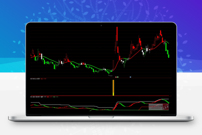 【龙头封神系统】 售价2万多元 /年  擒龙头妖股 突破 抄底逃顶型 完整版整套指标 高级版智标公式网-提供金钻指标以及精品亲测实战指标公式，汇集各大股市名师高手教程、股市战法交流等.....智标公式网