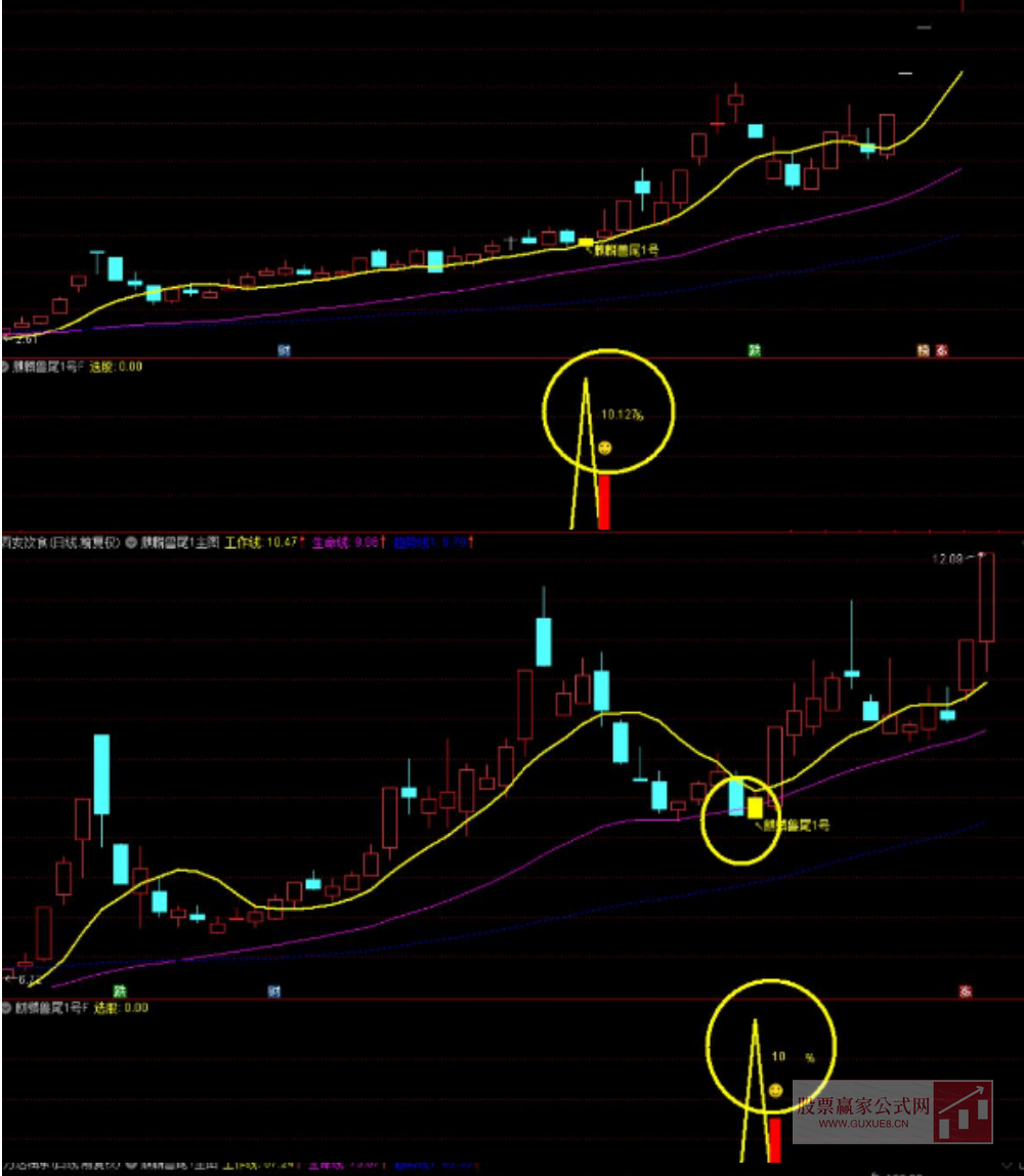 图片[3]智标公式网-提供金钻指标以及精品亲测实战指标公式，汇集各大股市名师高手教程、股市战法交流等.....【麒麟兽尾1号】主附图选股/尾盘T1思路高胜率/手机电脑通用无未来函数适合上班族【众筹指标系列】智标公式网-提供金钻指标以及精品亲测实战指标公式，汇集各大股市名师高手教程、股市战法交流等.....智标公式网