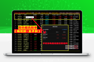 【梅花剑+太子剑】2025年 高胜率早盘竞价排序 快速锁定优质目标 源码开放 永久版！智标公式网-提供金钻指标以及精品亲测实战指标公式，汇集各大股市名师高手教程、股市战法交流等.....智标公式网