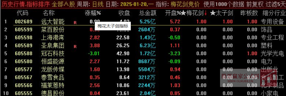 图片[11]智标公式网-提供金钻指标以及精品亲测实战指标公式，汇集各大股市名师高手教程、股市战法交流等.....【梅花剑+太子剑】2025年 高胜率早盘竞价排序 快速锁定优质目标 源码开放 永久版！【众筹指标系列】智标公式网-提供金钻指标以及精品亲测实战指标公式，汇集各大股市名师高手教程、股市战法交流等.....智标公式网