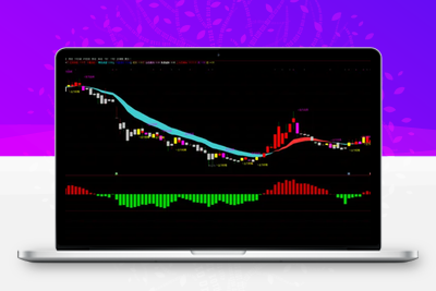 【主力监控器】通达信 主力吸筹量化指标，短线跟庄抓主升，主力量化指标 手机电脑通用！智标公式网-提供金钻指标以及精品亲测实战指标公式，汇集各大股市名师高手教程、股市战法交流等.....智标公式网