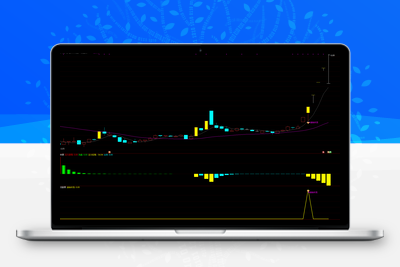 【金钻伏龙】用于快速寻找到强势起涨大牛 捕捉支撑较强的个骨信号公式源码智标公式网-提供金钻指标以及精品亲测实战指标公式，汇集各大股市名师高手教程、股市战法交流等.....智标公式网