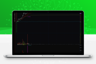 【龙虎分时眼】分时主图【涨停猎手】分时附图适用于分时首板一进二思路手机电脑通用智标公式网-提供金钻指标以及精品亲测实战指标公式，汇集各大股市名师高手教程、股市战法交流等.....智标公式网