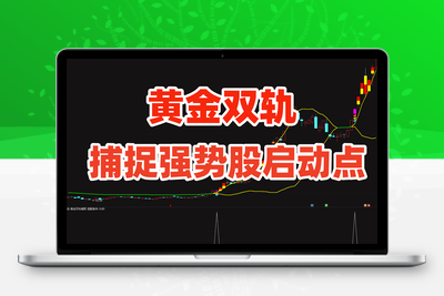 【金指标专属】【黄金双轨】通达信黄金双轨捉强势股的启动信号股票指标公式主升浪涨停短线【金指标系列】智标公式网-提供金钻指标以及精品亲测实战指标公式，汇集各大股市名师高手教程、股市战法交流等.....智标公式网