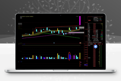 【黑太阳反包】-黑太阳反包  一旦发现其突破假阴高点就要大胆跟进！选股副图源码-电脑手机无未来智标公式网-提供金钻指标以及精品亲测实战指标公式，汇集各大股市名师高手教程、股市战法交流等.....智标公式网