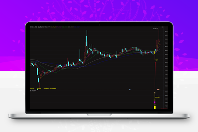 【金针探底】 私募抄底核心 在不同行情阶段均可能产生有效信号指标全套 原售价3000元智标公式网-提供金钻指标以及精品亲测实战指标公式，汇集各大股市名师高手教程、股市战法交流等.....智标公式网