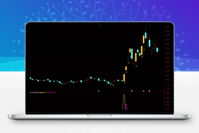 【打板量化策略】超牛打板必备 龙头战法首板、一进二（打二板）指标打板指标+使用方法智标公式网-提供金钻指标以及精品亲测实战指标公式，汇集各大股市名师高手教程、股市战法交流等.....智标公式网