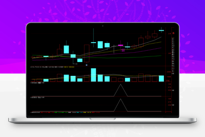 【涨停突围】原价299的主力珍藏版套装指标公式，6个月捕获630个涨停板!成功率98%智标公式网-提供金钻指标以及精品亲测实战指标公式，汇集各大股市名师高手教程、股市战法交流等.....智标公式网